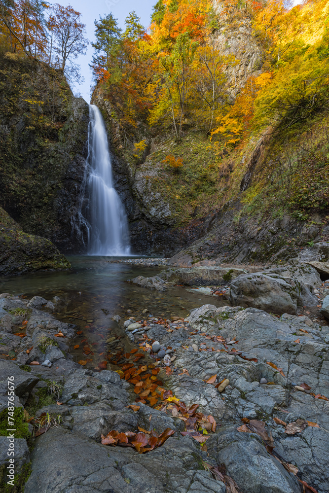 Fototapeta premium 日本 青森県中津軽郡にある世界遺産、白神山地の暗門滝の第2の滝と紅葉