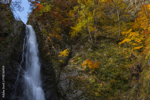 日本 青森県中津軽郡にある世界遺産、白神山地の暗門滝の第2の滝と紅葉