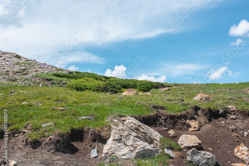 Vivid green landscape with sunlit big stone among lush alpine flora on hillside under clouds in blue sky. Rich vegetation and stones on grassy slope in sunlight. Mountain scenery with boulder on hill.