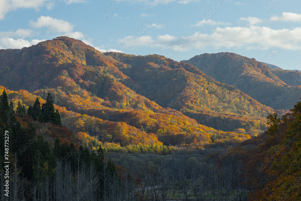 日本　青森県中津軽郡の大川白神橋から見える風景と紅葉