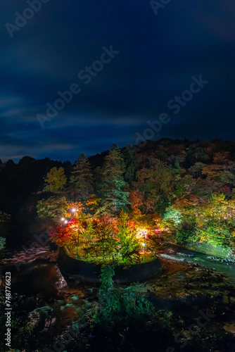 日本 青森県黒石市にある中野もみじ山のライトアップされた紅葉