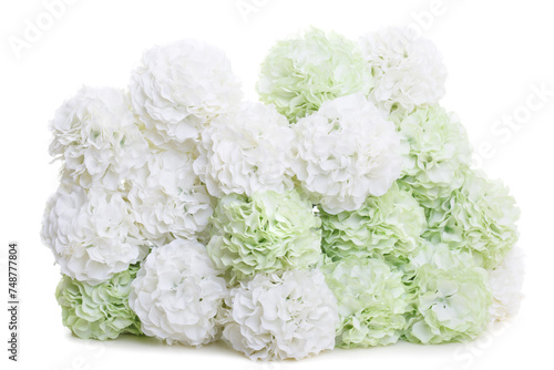 White and green bouquet of hydrangeas isolated on a white background.