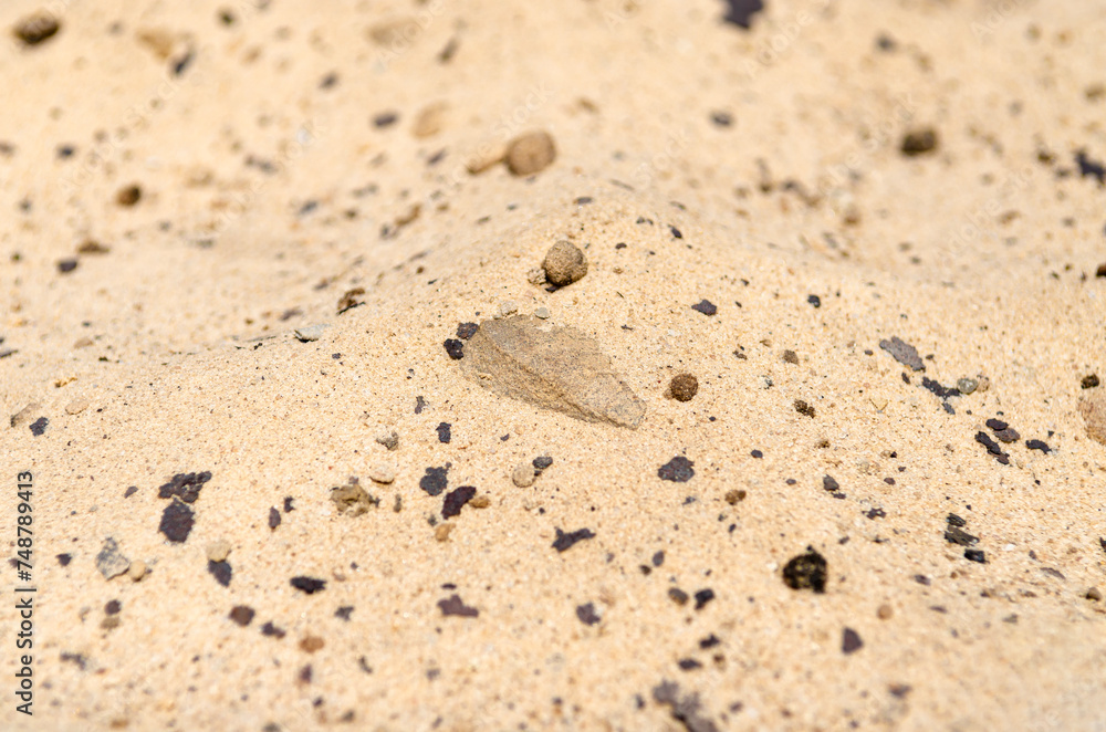 Yellow sea sand with rocks close-up. Background. Yellow sea sand with rocks close-up. Background.