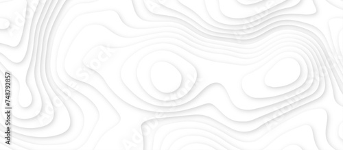 Abstract white wavy line 3d paper cut white background. abstract white background with smooth wavy layers. silver grid map line topography mount contour map .