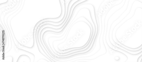 Abstract white wavy line 3d paper cut white background. abstract white background with smooth wavy layers. silver grid map line topography mount contour map .