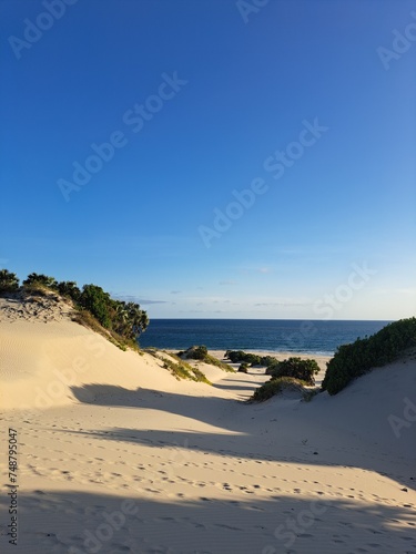 Dunes on the East African coast on a clear sky day