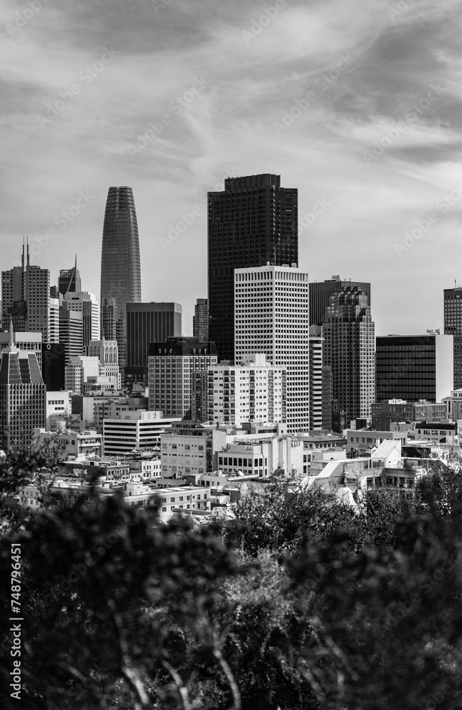 San Francisco city skyline, black and white.