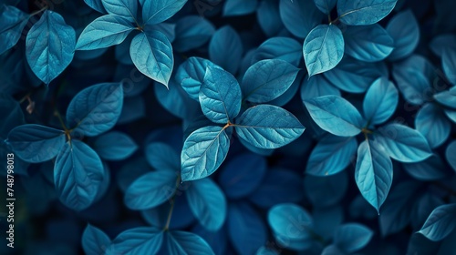 Blue plant leaves contrast with a blue background  creating a harmonious and serene composition. Nature background of blue leaves in peaceful and refreshing atmosphere.