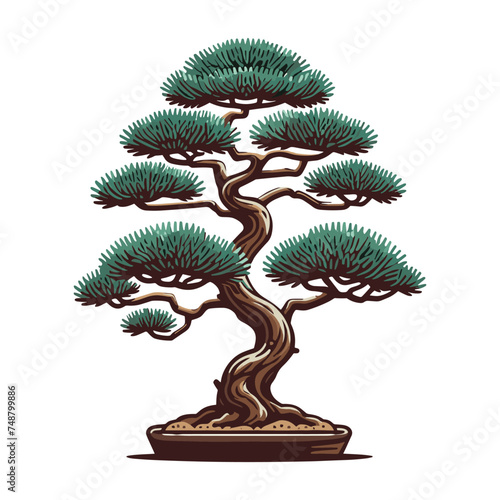Bonsai tree vector illustration. Aesthetic Japanese and Chinese traditional culture bonsai and potted plants design template isolated on white background