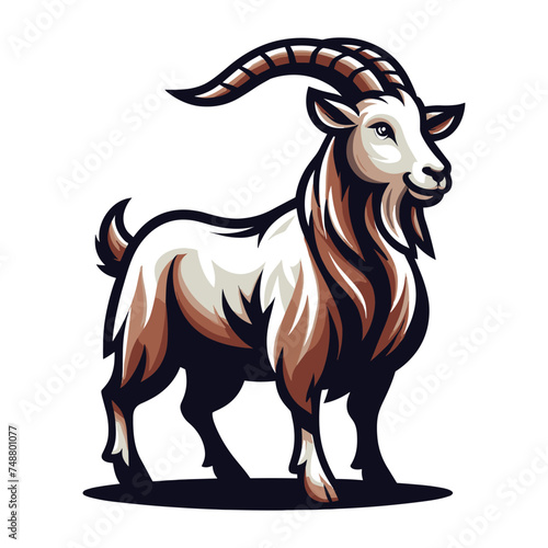 Goat full body vector illustration, farm pet, animal livestock, for butchery meat shop and dairy milk product, design template isolated on white background