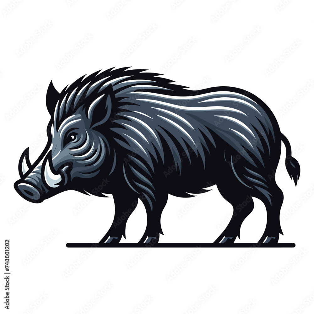 Wild hog boar pig full body design vector illustration, beast animal wildlife template isolated on white background Wild hog boar pig full body design vector illustration, beast animal wildlife template isolated on white background