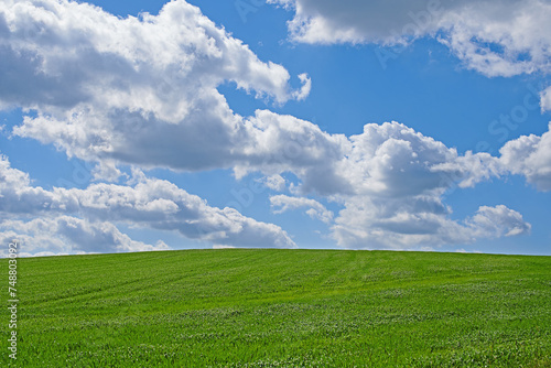 Blue sky  clouds and landscape in summer with sustainability  environment and zen in countryside. Field  nature and beauty with green grass for eco friendly  growth and horizon with lawn on earth