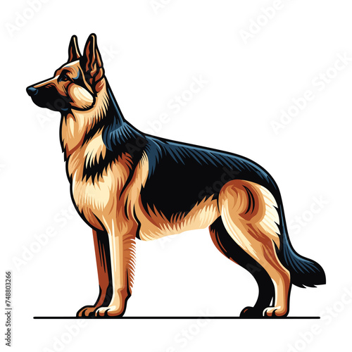 German shepherd dog full body vector illustration, standing dog, family pet, assistance, search service, rescue, police, and military help design template isolated on white background