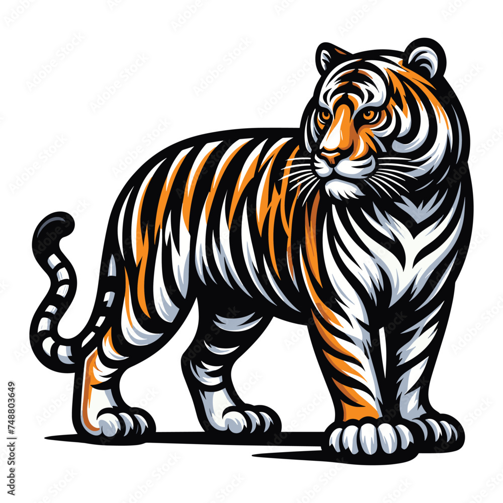 Fototapeta premium Wild tiger full body vector illustration, zoology illustration, animal predator big cat design template isolated on white background