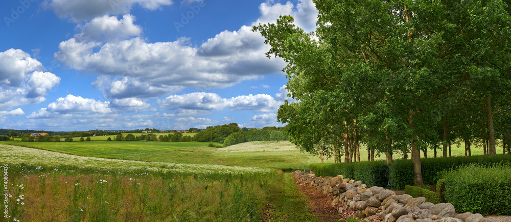 Sky, grass and environment with countryside trees, agro farming and plant growth in nature. Background, travel or landscape of meadow horizon, lawn or natural pasture for sustainable field or ecology