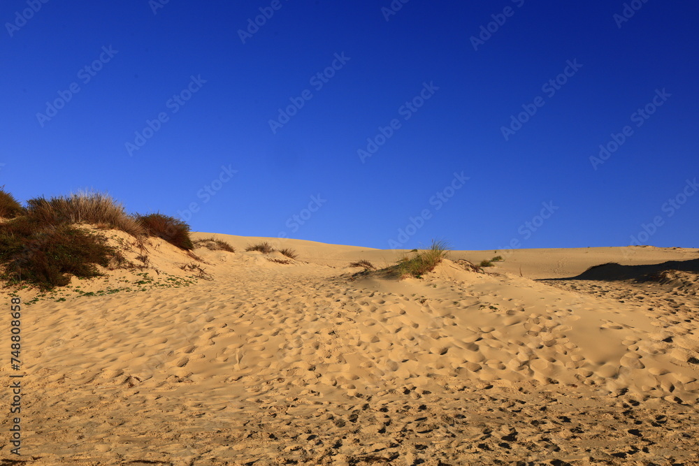 Fototapeta premium The Dune of Pilat is the tallest sand dune in Europe. It is located in La Teste-de-Buch in the Arcachon Bay area, France