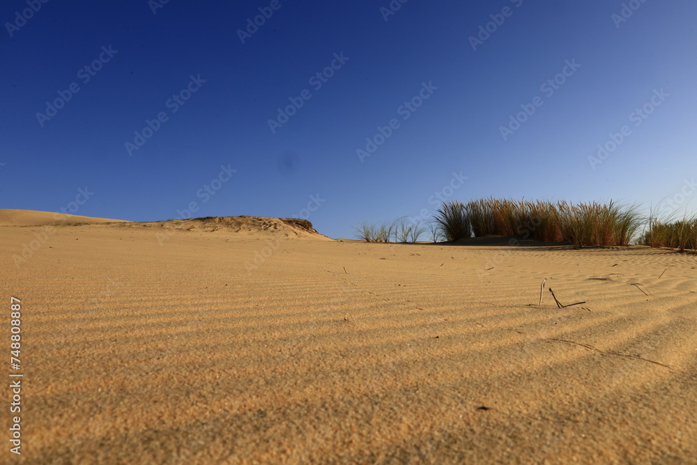 Fototapeta premium The Dune of Pilat is the tallest sand dune in Europe. It is located in La Teste-de-Buch in the Arcachon Bay area, France
