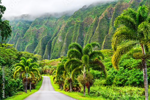 Ho'omaluhia Botanical Park views of Ko'olau mountains on Oahu - Hawaii, United States photo