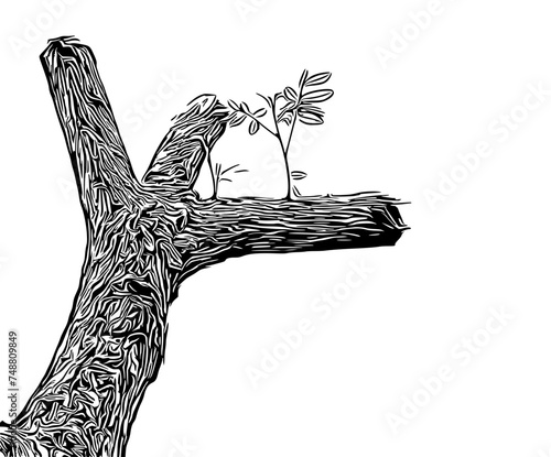 tree with roots
