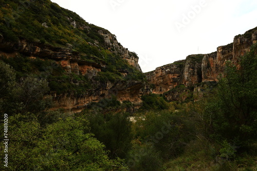 The Lumbier canyon is a canyon located in the east of the province of Navarre in the locality of Lumbier in Spain
