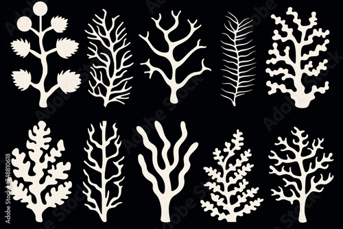 Seperangkat siluet karang dan rumput laut yang digambar tangan terisolasi dengan latar belakang putih photo