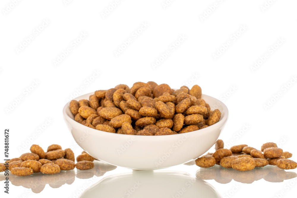 Dry dog food in a white ceramic plate, macro, isolated on white background. Dry dog food in a white ceramic plate, macro, isolated on white background.