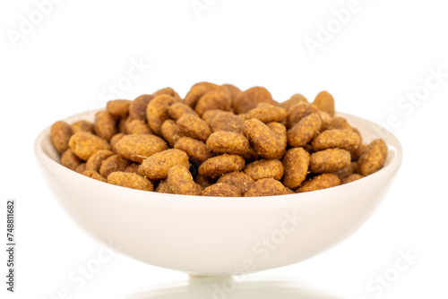 Dry dog food in a white ceramic plate, macro, isolated on white background.