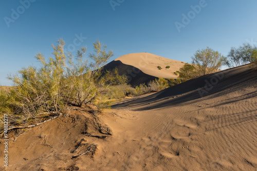 Huge sand dune in Kazakhstan's Altyn Emel National Park on a summer evening photo