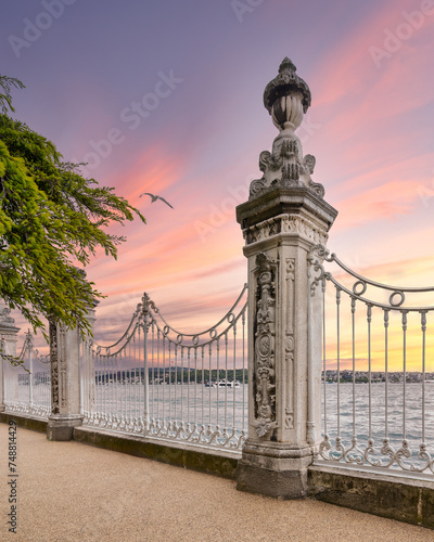Ornate wrought iron fence decorated with intricate designs at the Dolmabahce Palace overlooking the Bosphorus Strait in Istanbul, Turkey after sunrise