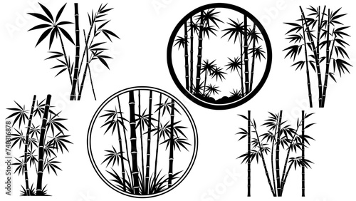 Stylish silhouettes of bamboo