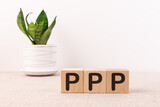 PPP Praise Picture Push concept on cubes