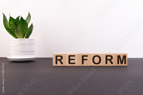 Text, word Reform written on wooden building blocks, on a light background. Business concept