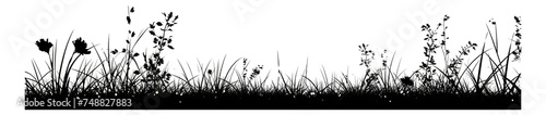 Grass and flower silhouette in a cartoon style. © Anthony