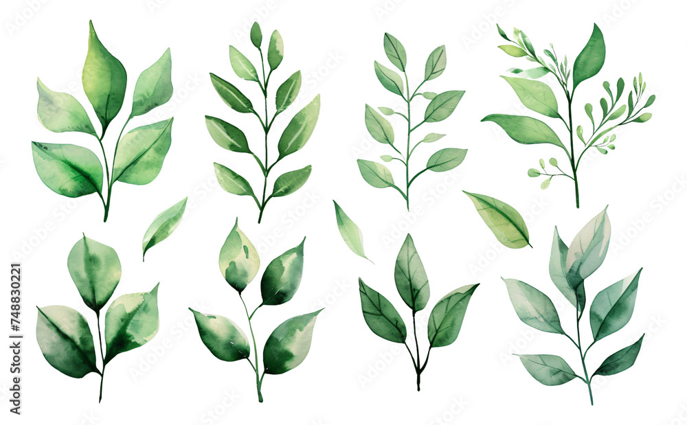 Watercolor leaves and branches in springtime isolated. Watercolor leaves and branches in springtime isolated.
