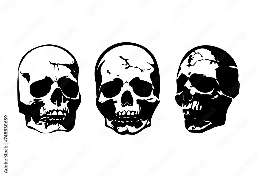 skull, silhouette, spooky, ghost, scary, creepy, mystery, cemetery, horror, halloween
