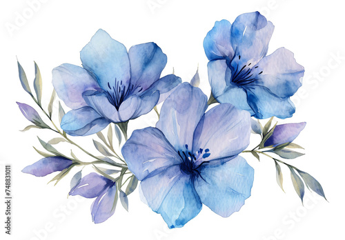 Watercolor blue flowers isolated on the white background. © Anthony