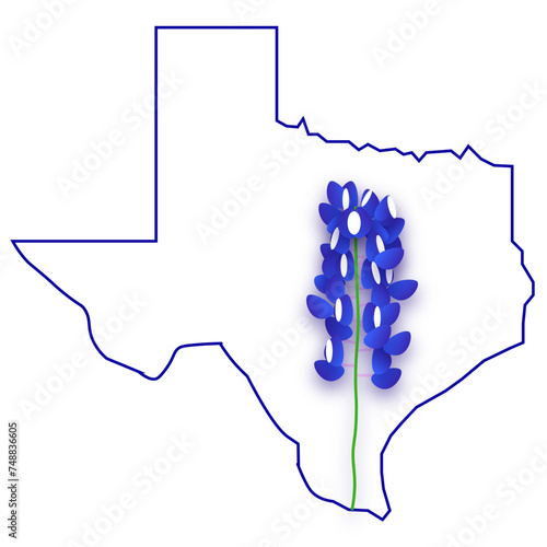 3d bluebonnet in Blue Texas Outline photo