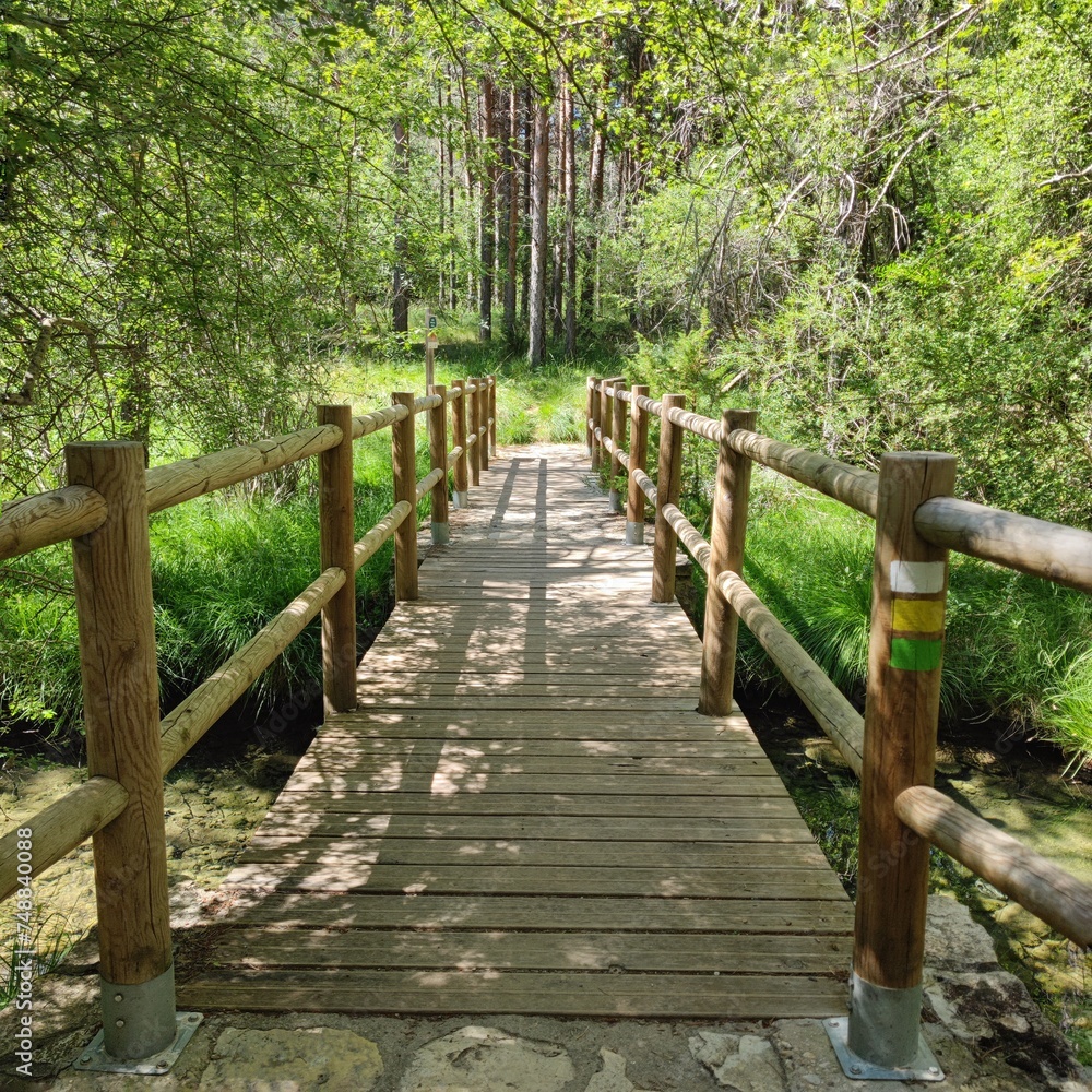 Wooden bridge over river in a green forest with trees on a sunny day Wooden bridge over river in a green forest with trees on a sunny day