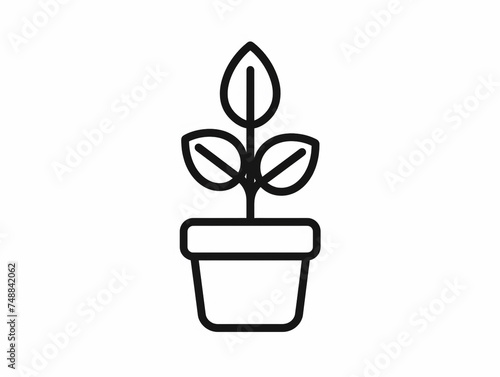 Outline icon of plant in the planterbox. Black line and in minimal style. 
