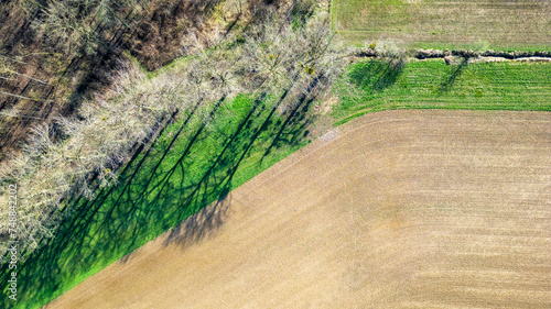 This image captures a top-down aerial view of farmland, showcasing the striking contrast between the cultivated land and the adjacent tree line. The barren field's rich brown soil is neatly divided