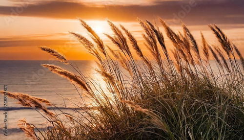 Zachód słońca nad morzem , trawy. Tapeta, dekoracja. Generative AI