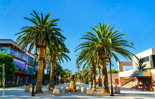Paseo de Cesar Chavez at San Jose State University in California, United States © Leonid Andronov