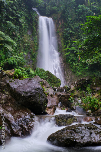 The enchanting Saderi Waterfall is located in Bogor  West Java  Indonesia