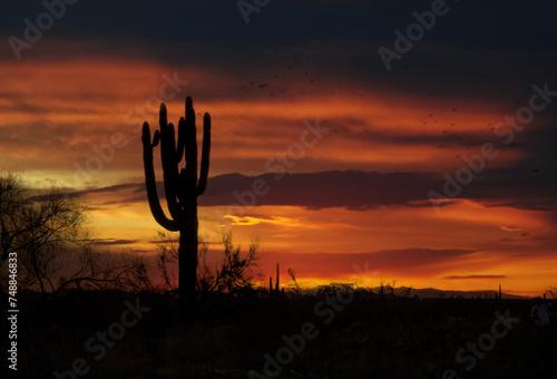 Sunset at McDowell Sonoran Preserve in Scottsdale Arizona photo