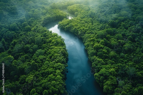 This breathtaking aerial shot captures the winding journey of a river cutting through the lush greenery of a dense forest