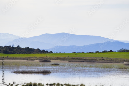 View of the lagoons of Puebla de Beleña with the Sierra de Ayllon in the background