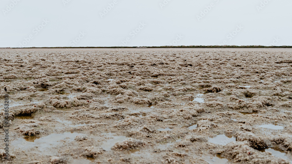 Sel récoltable dans une exploitation au cœur de la Camargue à Salin de Giraud