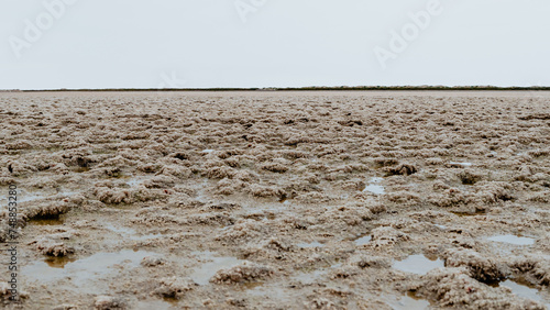 Obraz na płótnie Sel récoltable dans une exploitation au cœur de la Camargue à Salin de Giraud w salonie