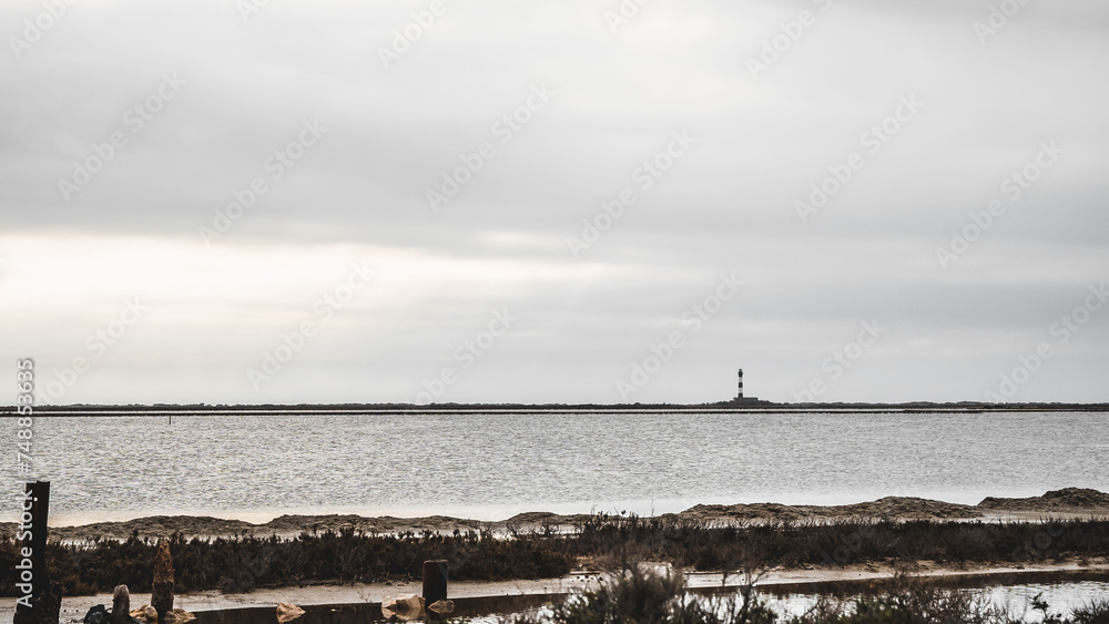 Vue sur le Phare de Faraman depuis les marais salants de Camargue
