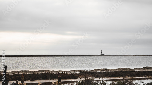 Obraz na płótnie Vue sur le Phare de Faraman depuis les marais salants de Camargue w salonie